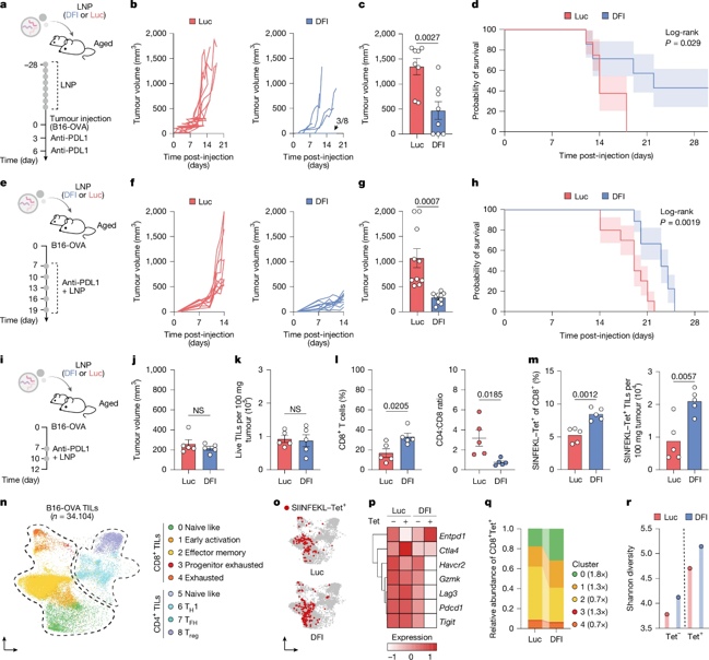 DFI (Dll1, Flt3l and Il7) rejuvenates antitumour responses.