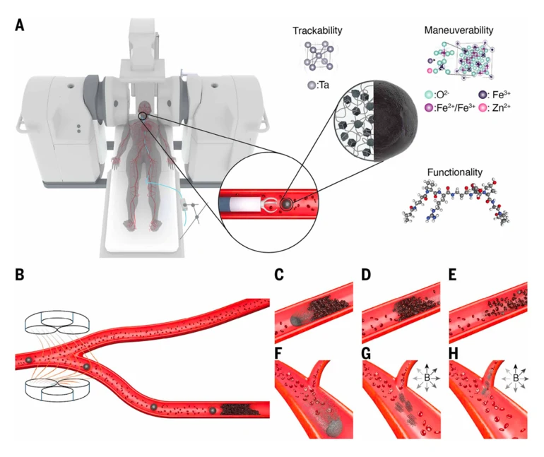 Schematic of the robotic system within a clinical setup, featuring two electromagnetic navigation units, a custom-designed microrobot release catheter, and a magnetic microrobot.