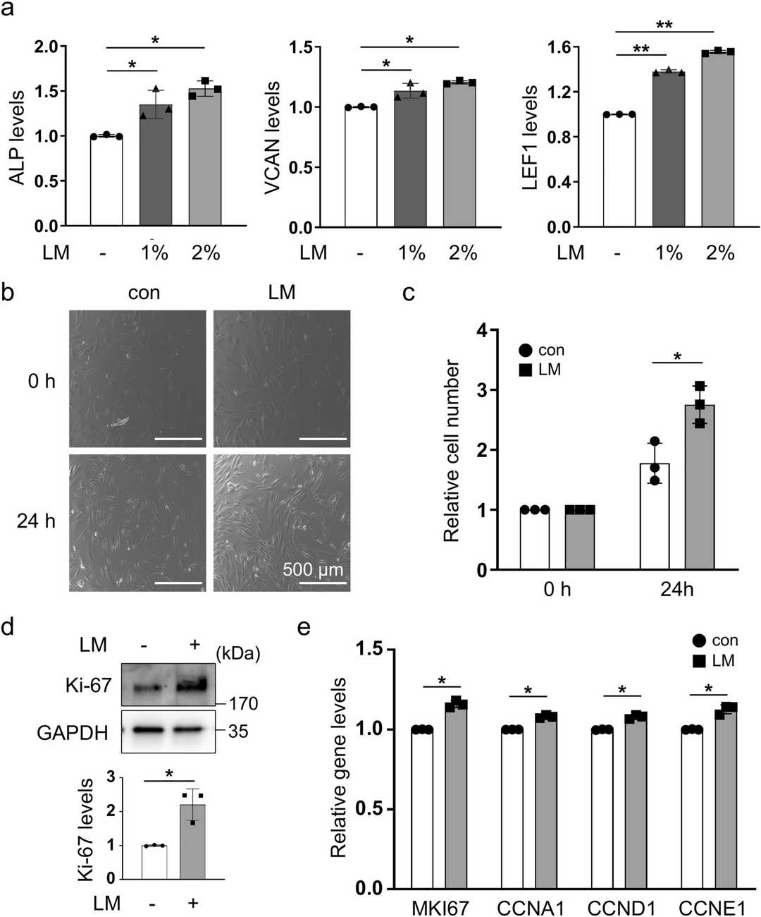 Enhancement of trichogenic gene expression and cell growth in DPCs by lipids